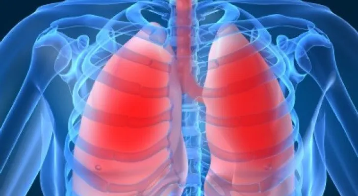 Cómo limpiar los pulmones de nicotina