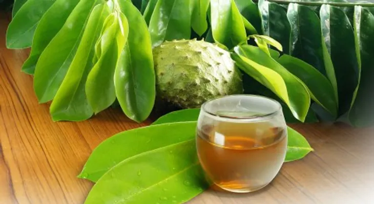 Médico destaca la manzanilla como aliada natural para mejorar el sueño y reducir el estrés