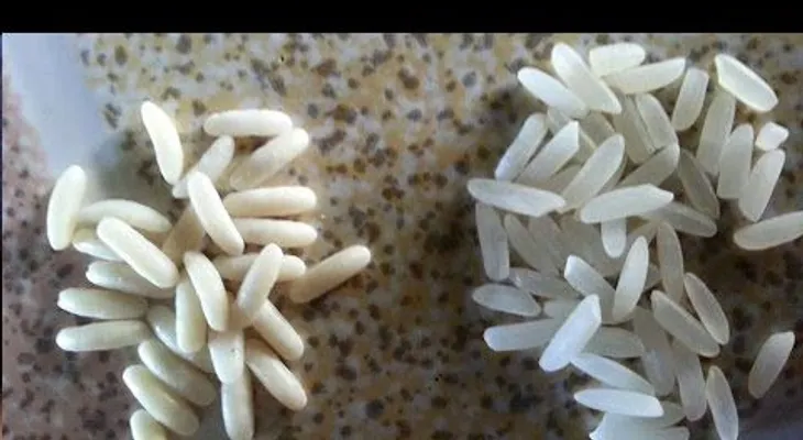 No te dejes engañar con arroz plástico: Conoce las 3 maneras para verificar su calidad 