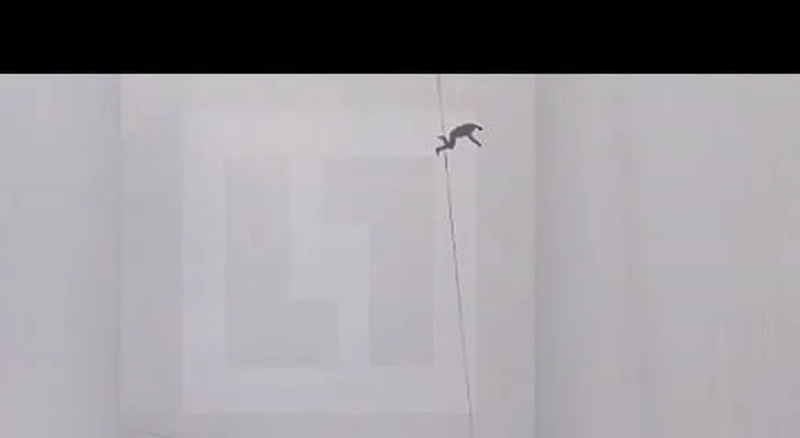 Un hombre muere tras intentar cruzar de un edificio a otro a través de cables de electricidad