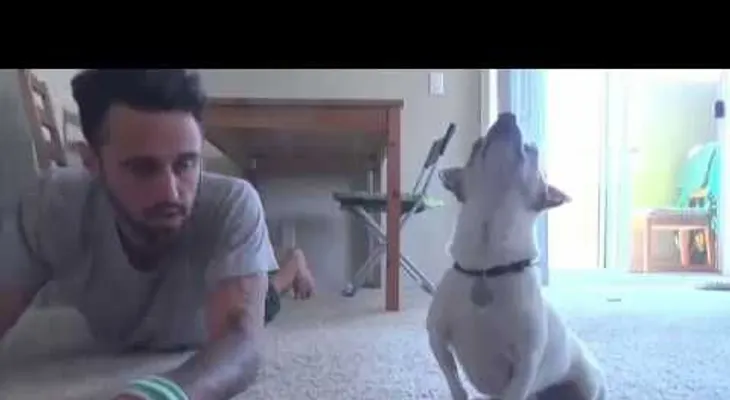 Un perro hace ejercicios físicos con su amo 
