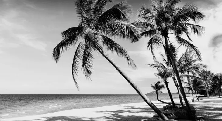 La misteriosa isla tropical donde sus pobladores solo ven en blanco y negro