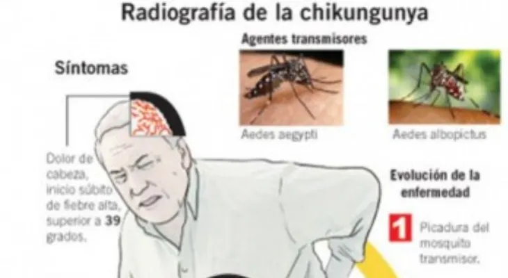 Confirman tres muertes por chikungunya en la República Dominicana 