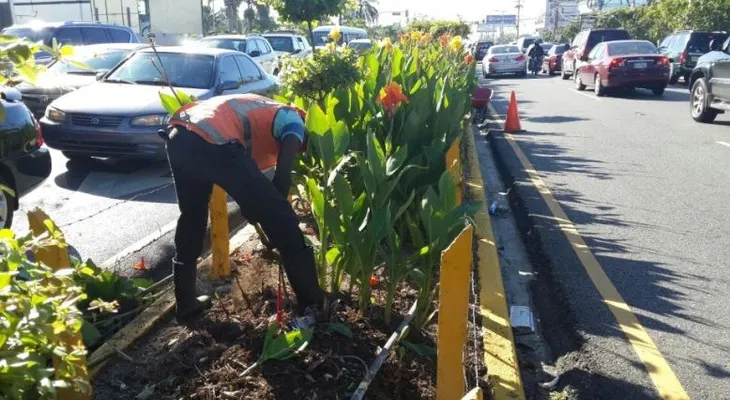 Retiran parte de las plantas de isleta en la Lincoln para mejorar visibilidad y prevenir accidentes