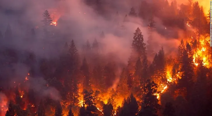 Qué se sentía dentro del tornado de fuego que mató a un bombero en California