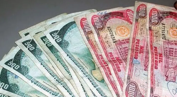 ANPA dice aumento salarial dispuesto por el Gobierno no satisface aspiraciones de los agrónomos 
