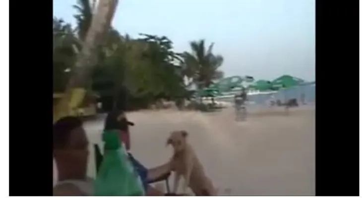 El Ranger a nivel de playa con la familia 