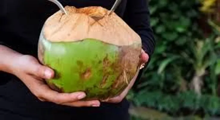 Agua de coco: ¡El secreto para una salud feliz y agradecida. Vitaminas A,E, B, fibra, minerales, zinc y hierro