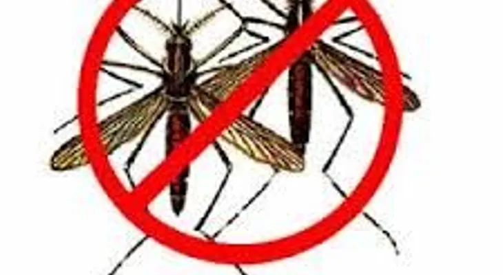 Dirección Regional 10 de MINERD realiza jornada preventiva contra el Zika-Virus   