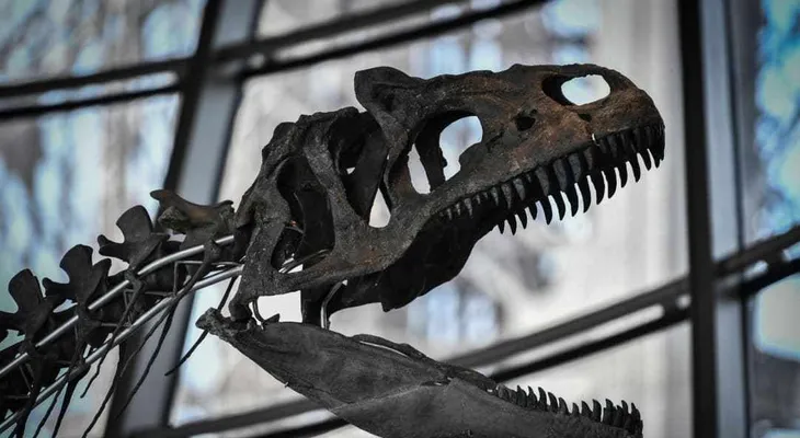 Subastan esqueleto de misterioso dinosaurio por 2,4 millones de dólares en Francia