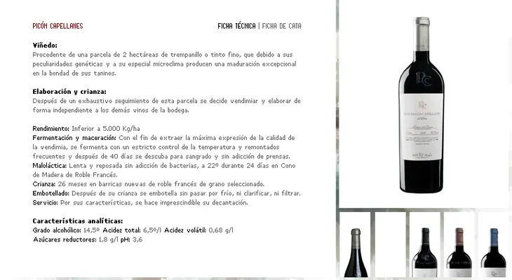 10 interesantes técnicas del vino