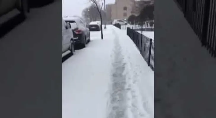 Cientos de dominicanos abarrotaron negocios por tormenta "Stella" (VIDEO)
