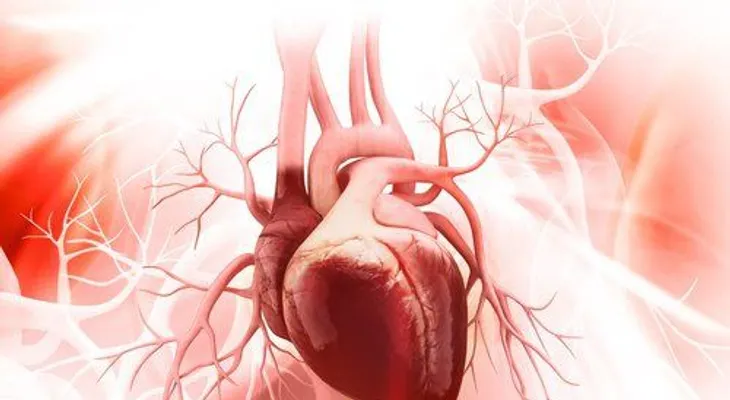 Descubren un nuevo culpable de las enfermedades cardiovasculares