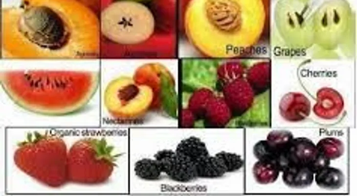 La vitamina B17 la tienen prohibida porque cura el cáncer