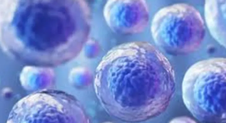 Crean células madre curaría la leucemia