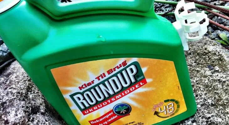 Bayer revela que afronta 9, 300 demandas por el herbicida Roundup