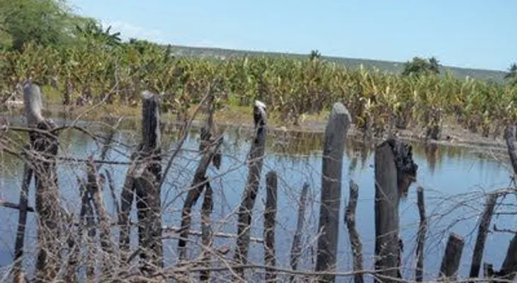 Lago Enriquillo se traga cerca de 32 mil tareas destinadas al ganado y agricultura