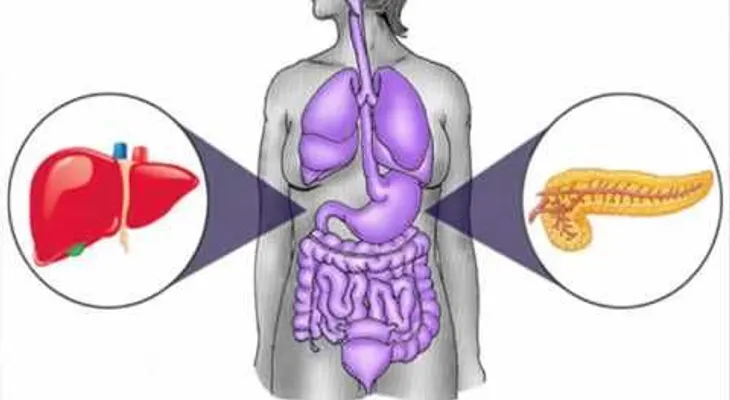 Esta especia repara como magia hígado dañados, diabetes, inflamación, colesterol y más.!