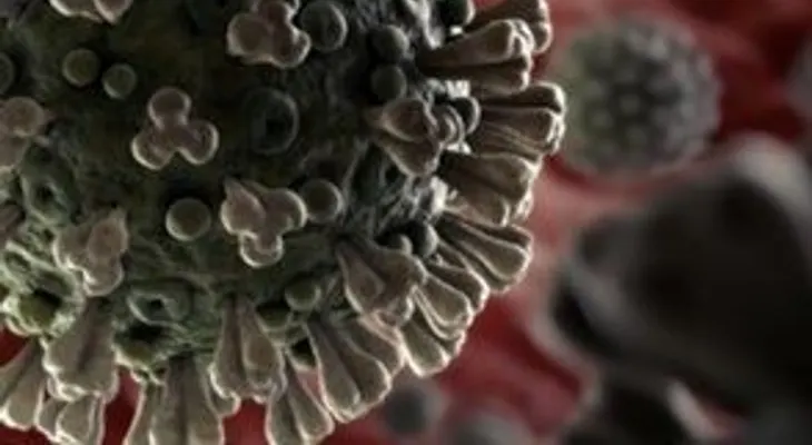 República Dominicana aumenta a 217 los fallecidos por coronavirus y a 4,355 los infectados